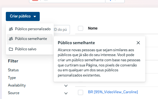 Público semelhante
